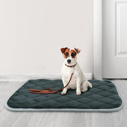 furrybaby Dog Bed Mat Flat Crate Mat with Anti-Slip Bottom Machine Washable Pet Kennel Pad for Dog Sleeping (XL 48x30'', Grey Mat) - size: 48.0"L x 30.0"W x 0.7"Th