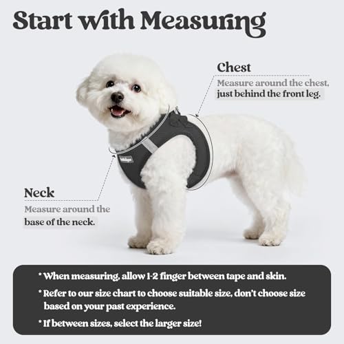 rabbitgoo Dog Harness Small Sized and Leash Set, Step in Soft Light Puppy Vest, Breathable Mesh Pet Harness, Reflective for Safe Easy Walking, Black XXS - color: Black, size: Xxs (chest: 12.4 - 14.2")