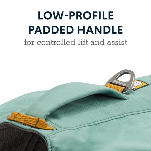 Ruffwear, Front Range Day Pack, Dog Backpack with Saddlebags, 5-Point Adjustment, 3 Leash Points, Padded Handle, Internal Mesh Pockets, Reflective Trim, Light Loop, River Rock Green, Medium - color: River Rock Green, size: Medium