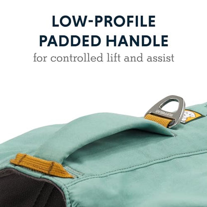 Ruffwear, Front Range Day Pack, Dog Backpack with Saddlebags, 5-Point Adjustment, 3 Leash Points, Padded Handle, Internal Mesh Pockets, Reflective Trim, Light Loop, River Rock Green, Medium - color: River Rock Green, size: Medium
