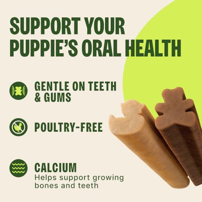 Wellness WHIMZEES Puppy Natural Dog Dental Treat, Chews, Freshens Breath, Medium/Large Size, 7.9 oz Bag, 14 Count - size: 7.4 ounce (Pack of 1)