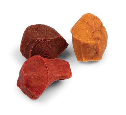 Good ‘N’ Tasty Kabob Bites, Treats for Dogs, Treat Your Pet to a Snack Made with Real Chicken, 4 Ounces (Pack of 2) - size: 4 Ounce (Pack of 2), style: Kabob Bites