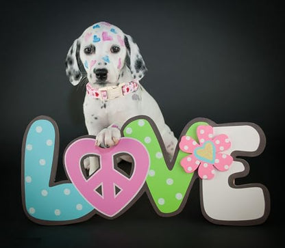 DOGWONG Valentine's Dog Collar, Adjustable Durable Pink Heart Dog Collar Cute Girl Dog Collar for Small Medium Dogs - color: A: Letter Pink Heart, size: Extra Small