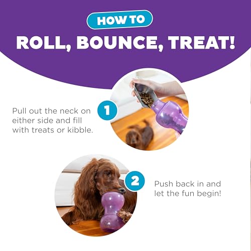 Outward Hound Double Snoop Interactive Treat Dispensing Dog Toy, Puzzle Ball Slow Feeder for Medium to Large Dogs, Mint-Scented for Mental Stimulation & Boredom Relief, 6in x 4in - color: Double Snoop (Purple)