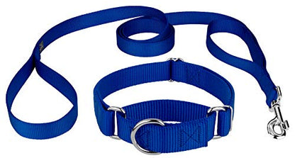 Country Brook Petz - Royal Blue Martingale Heavyduty Nylon Dog Collar and Double Handle Leash (1 Inch, Extra Large) - color: Royal Blue, size: Extra Large (Pack of 1)