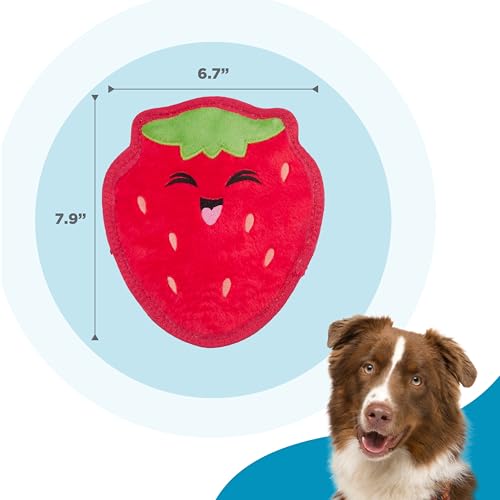 Outward Hound Tough Skinz Durable Squeaky Dog Toy with Two Tough Layers, Strawberry, Red, Medium - color: Strawberry, size: Medium