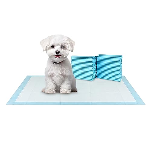 BV Small Puppy Pads 100 Count 17"x24" - Leak-Proof & Absorbent Pee Pads For Dogs with 6-Layer Design, Rapid Dry Sheet & Built-In Attractant - Dog Pad with Odor Control, Perfect for Puppies&Senior Dogs - size: Small / 100-Count (Standard)