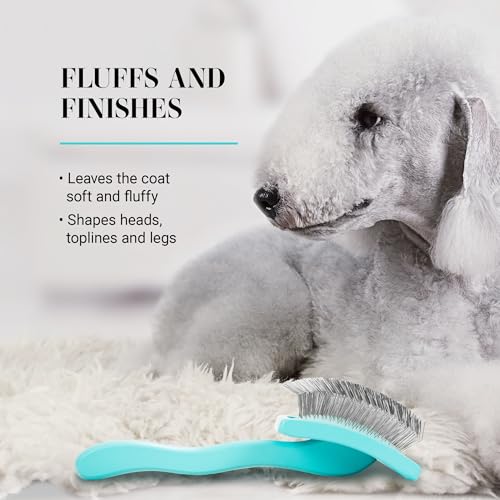 Chris Christensen Big G Dog Slicker Brush for Dogs (Goldendoodles, Labradoodles, Poodles), Groom Like a Professional, Fluff Detangle Style, Saves Time Energy, Teal, Medium - color: Teal, size: Medium
