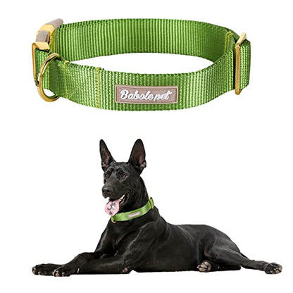 Nylon Dog Collar - Adjustable Green Soft Webbing Dog Collars for Small Medium Large Dogs Boy Girl Puppy Collar with Safety Metal Buckle XS - color: Nylon-Green, size: XS