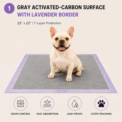 Charcoal Dog Training Pads Advanced Odor Control Puppy Pee Pads, 22x22 Inch, 7-Layer Leak-Proof, Ultra Absorbent, Adhesive Tabs, 50 Count