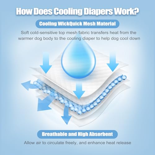 wegreeco Cooling Dog Diapers Female, Reusable Dog Cooling Diapers, High Absorbent Puppy Doggie Panties for Heat, Excitable Urination, or Incontinence, Self-Cooling, 5 Pack(Elegant, Large) - size: Large