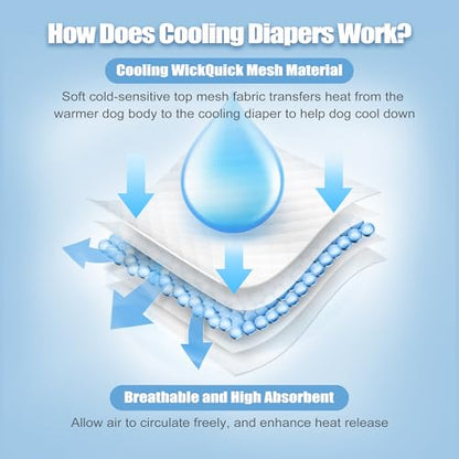 wegreeco Cooling Dog Diapers Female, Reusable Dog Cooling Diapers, High Absorbent Puppy Doggie Panties for Heat, Excitable Urination, or Incontinence, Self-Cooling, 5 Pack(Elegant, Large) - size: Large