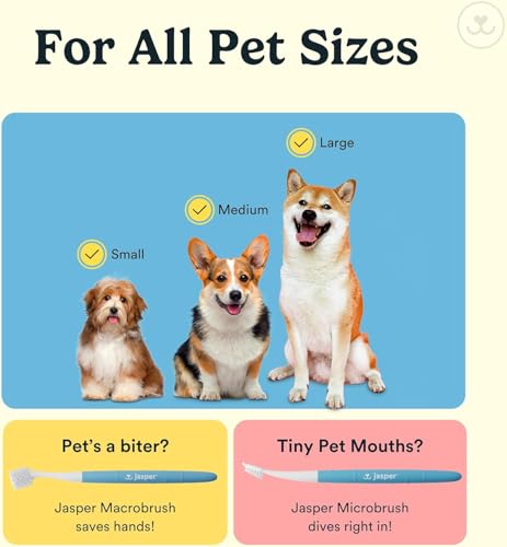 Jasper Dog Toothbrush, 360 Degree Pet Tooth Brushing Kit, Cat Toothbrush, Canine Dental Care & Teeth Cleaning Kit, Pet Finger Tooth Brush, Use with Dog Toothpaste, 4-Pack Multicolor - color: Multicolor (4-pack)