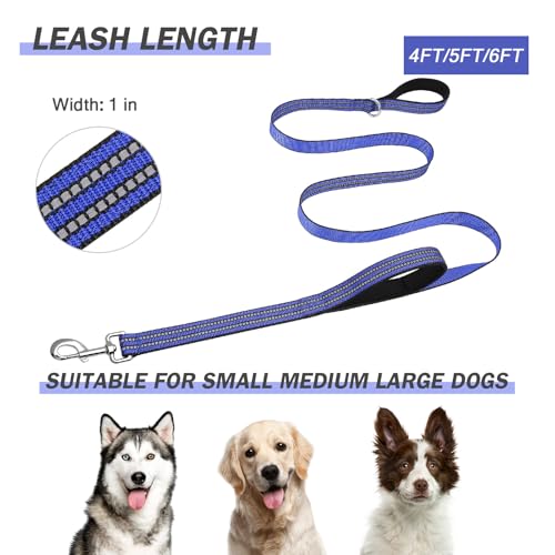 Hikiko Heavy Duty Dog Leash Strong Two Padded Soft Handles Dog Leash for Medium and Large Dogs (Blue,4FT) - color: Blue, size: 1 in x 4 ft