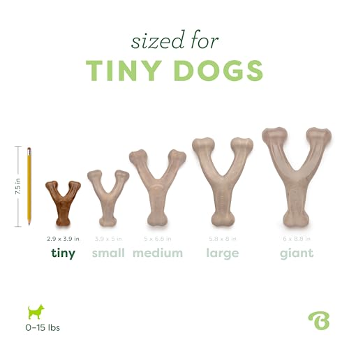 Benebone Wishbone Durable Dog Chew Toy for Aggressive Chewers, Real Bacon Made in USA, Tiny - size: Tiny