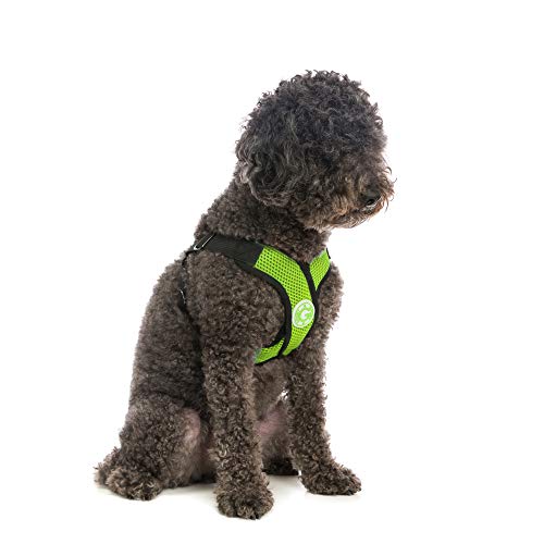 Gooby - Comfort X Step-in Harness, Choke Free Small Dog Harness with Micro Suede Trimming and Patented X Frame, Green, Large - color: Green, size: Large