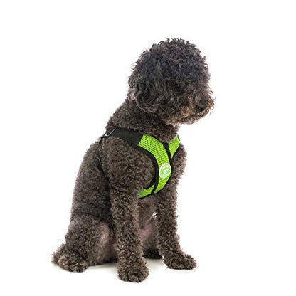 Gooby - Comfort X Step-in Harness, Choke Free Small Dog Harness with Micro Suede Trimming and Patented X Frame, Green, Large - color: Green, size: Large