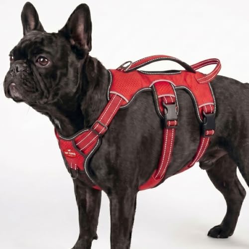 Tuff Pupper Tracker No Escape Dog Harness, Dual Attachment Points, Reflective 3M Stitching, XS - XL, March Red - color: March Red, size: Small: 17-22 Inch Chest