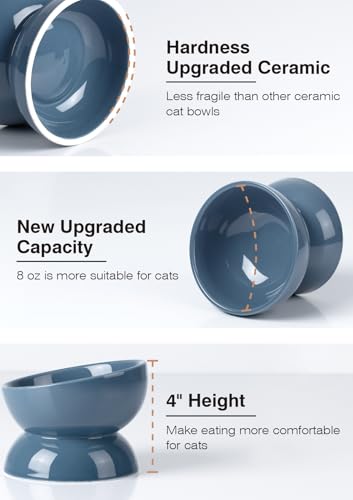 ABRUTY Cat Water Bowl, 16 OZ Ceramic Elevated Cat Bowls, 15° Tilted and Raised Pet Food Dish, Anti Vomiting Protect Pets' Spines and Whisker Fatigue, Blue - color: Blue, size: 1 Pack