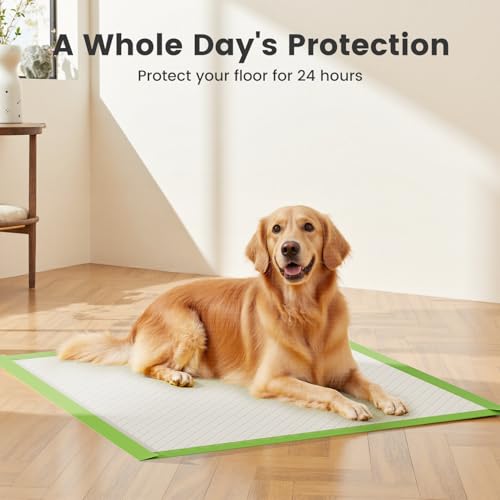 Gardner Pet Dog Pee Pads Extra Large 28"x34", XL Thicker ECO Green Disposable XLarge Puppy Training Pads Super Absorbent Full Edge-Wrapping Pad for Dogs, Puppies, Doggie, Cats, Rabbits-(30 Count) - size: 28"x34"-30 Count
