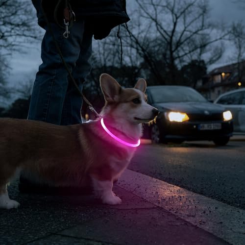 HIGO LED Dog Collar, USB Rechargeable Light Up Dog Collars Glow in the Dark, Waterproof LED Dog Necklace for Your Dogs Walking at Night (Pink) - color: Pink