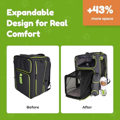 Premium Expandable Cat Carrier Backpack with Car Seat Belt Safety System – Rigid Frame Pet Carrier Backpack for Cats & Small Dogs up to 25 lbs – Breathable, Durable – Includes Bottle & Feeding Bowl - color: gray/green