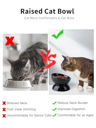 ABRUTY Cat Water Bowl, 16 OZ Ceramic Elevated Cat Bowls, 15° Tilted and Raised Pet Food Dish, Anti Vomiting Protect Pets' Spines and Whisker Fatigue - color: Black, size: 1 Pack