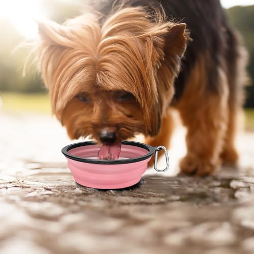 Kytely Large Collapsible Dog Bowls 2 Pack, 34oz Foldable Dog Travel Bowl, Portable Pet Water Food Bowl with Clasp, Pet Cat Feeding Cup Dish for Traveling, Walking, Hiking (Pink+Purple) - color: Purple & Pink
