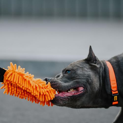 Dingo Dog Tug Toy with Bungee Handle, Microfiber, Orange - color: Orange