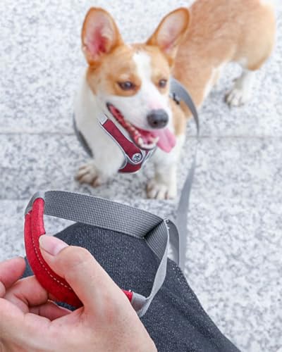 Small Dog Harness and Leash Set,No Pull Adjustable Step in Soft Mesh Vest Harness,Easy Walk Reflective Pet Harness with Padded Handle for Walking Training Small Medium Large Dogs and Cats (Red, S) - color: Red, size: S