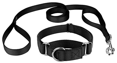 Country Brook Design - Martingale Nylon Dog Collar & Double Handle Leash-Black-L - color: Black, size: Large (Pack of 1)