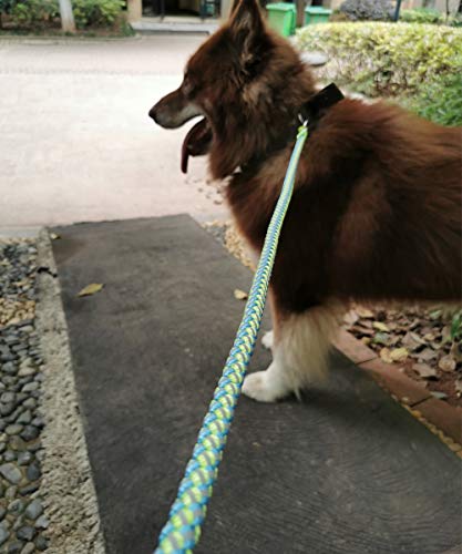 2/3/4/6/10 Foot Reflective Dog Leash Strong Nylon Rope Braided Heavy Duty for Large and Medium Small Dogs Walking Training Leads (Green, 6ft * 3/4") - color: Green, size: 6ft * 3/4"