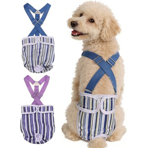 Washable Female Dog Diapers with Suspender, Reusable Dog Diapers Absorbent Leakproof(Striped Purple/Striped Blue L, 2Pcs), Intended for Female in Heat Cycle - color: Striped Purple/Striped Blue, size: L