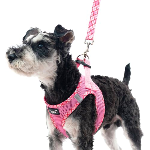 PUPTECK Dog Harness and Leash Set for Small Medium Dogs No Pull Step-in Soft Mesh Puppy Cat Vest Harnesses Reflective at Night, Pink XS - color: #1 Pink(Basic Mesh), size: XS(CHEST 13"-14.5", 3-9 lbs)