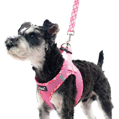 PUPTECK Dog Harness and Leash Set for Small Medium Dogs No Pull Step-in Soft Mesh Puppy Cat Vest Harnesses Reflective at Night, Pink M - color: #1 Pink(Basic Mesh), size: M(CHEST 16"-18", 11-18 lbs)