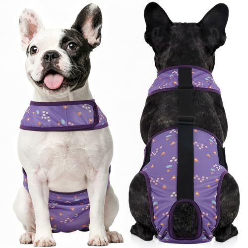 Kuoser Dog Diapers Female with Suspenders, Escape-Proof Doggie Diaper That Stay On, Washable Dog Diapers for Heat, Incontinence & Puppy Training,Reusable Puppy Diaper Female Small Medium Large Dogs,XS - color: Lavender Purple, size: XS