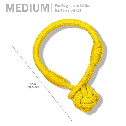 Playology Dog Toys | Tough Tug Knot for Puppies and Young Dogs | Chicken Scented Medium Chew Toy Tug Rope | Tug of War Puppy Essentials - size: Medium, style: Chicken