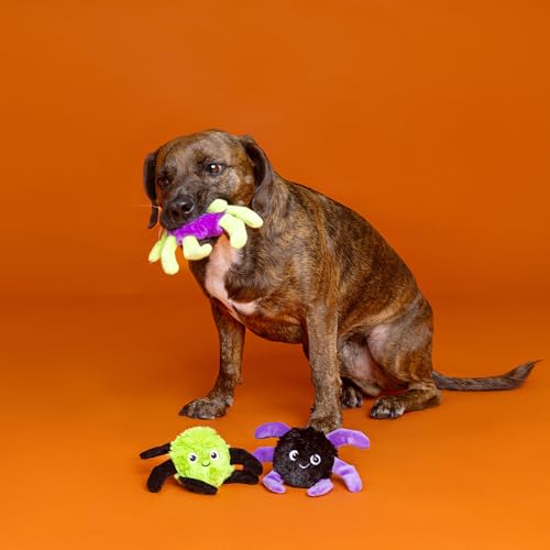 Fringe Studio Pet Toy, Webbed in Mischief Plush Dog Toy 3 PCS Set, PetShop Collection (662190) - color: Webbed In Mischief