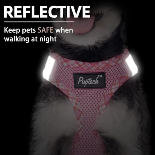 PUPTECK Dog Harness and Leash Set for Small Medium Dogs No Pull Step-in Soft Mesh Puppy Cat Vest Harnesses Reflective at Night, Pink S - color: #1 Pink(Basic Mesh), size: S(CHEST 14.5"-16", 6.6-14 lbs)
