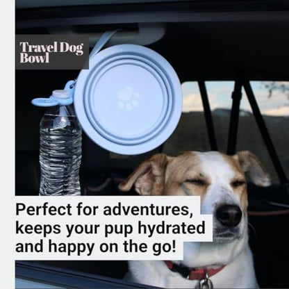 Blue Collapsible Travel Dog Bowl – BPA-Free Silicone & 18/8 Stainless Steel, Portable Non-Slip Food & Water Bowl with Handle, Bottle/Poop Bag Holder – Claim Your - color: Blue Bowl