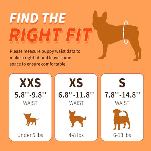 Pet Soft Female Dog Diapers - Disposable Puppy Diapers for Dogs & Cats, Ultra Absorbent Doggy in Heat Period or Urine Incontinence, 24pcs (XXS, Green) - size: XX-Small