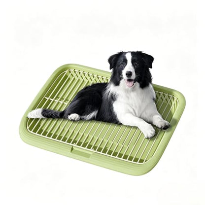 Dog Potty Tray Indoor Pet Pee Pad Holder for Small & Medium Dogs, Puppy Training Pad Holder, Pet Toilet Litter Box, Dog Bathroom Tray, Housebreaking Potty Supplies 17.72''LX12.99''WX1.97''H(Green) - color: Green