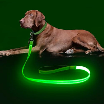 Colaseeme LED Light Up Dog Leash, USB Rechargeable (4FT,Green-New) | Glow in dark, reflective, USB-C rechargeable, bright LED for night safety, fits small to large dogs - color: Green (New), size: 4FT