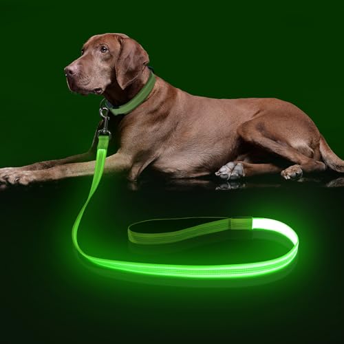 Colaseeme LED Light Up Dog Leash, USB Rechargeable (4FT,Green-New) | Glow in dark, reflective, USB-C rechargeable, bright LED for night safety, fits small to large dogs - color: Green (New), size: 4FT