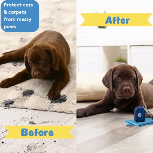 Portable Dog Paw Towel, Lightweight & Super Absorbent Microfiber, Clips onto Leash, Quick Drying Towel for Dogs Paws with Silicone Case, Dry Dog’s Paws on The Go - Small - Rosy Glow - color: Rosy Glow (Small)