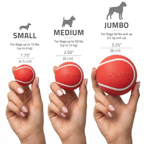 Playology Dog Toys | Squeaky Chew Ball for Dogs | Beef Scented Medium Dog Ball | Bouncy Floating Chew Toys for Fetch - size: Medium, style: Beef