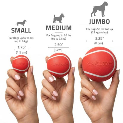 Playology Dog Toys | Squeaky Chew Ball for Dogs | Beef Scented Medium Dog Ball | Bouncy Floating Chew Toys for Fetch - size: Medium, style: Beef