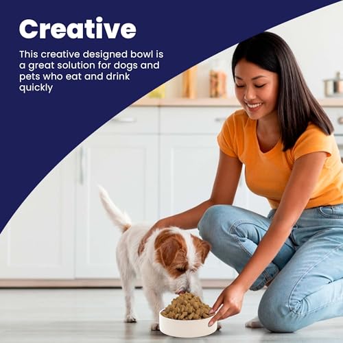 SPOT Standard Crock Dish - Heavy Duty, Non-Slip, Round Ceramic Food/Water Bowl for Pets, Ideal for Medium to Large Dogs or Multiple Animals, Dishwasher Safe - 9.5 in, 8 Cups, (64 Oz)(Pack of 6) - size: 9.5" (Pack of 6)