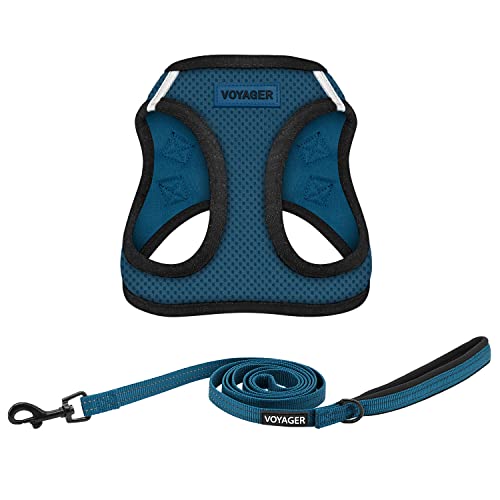 Voyager Step-in Air All Weather Mesh Harness and Reflective Dog 5 ft Leash Combo with Neoprene Handle, for Small, Medium and Large Breed Puppies by Best Pet Supplies - Blue, X-Small - color: Leash Harness Set (Blue Base), size: XS (Chest: 13 - 14.5")