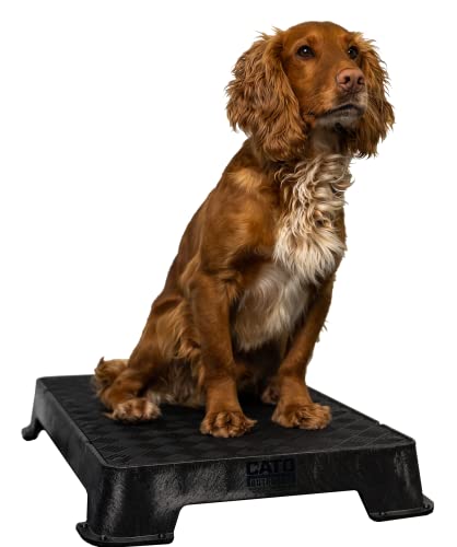 Cato Board - Dog Training Platform (Black, Rubber Surface) - color: Black